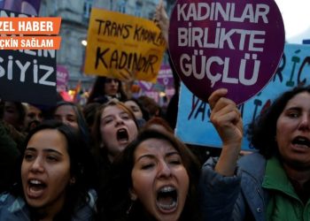 Danıştay’ın 5 üyesi: Cumhurbaşkanı yetkisi sınırsız değildir