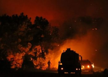 Bakan Pakdemirli, orman yangınlarıyla ilgili iddiaları yanıtladı: Kültür ve Turizm Bakanlığı’na tahsis yok