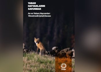 Doğa Derneği av ve yaban hayvanları için açtığı davayı yayın haline getirdi