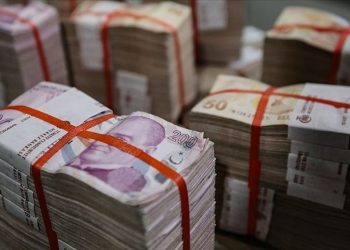 Hazine 8,3 milyar lira borçlandı