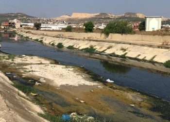 Parasetamol, nikotin, kafein… Nehirlere karışan ilaçlar ‘küresel sağlık riski yaratıyor
