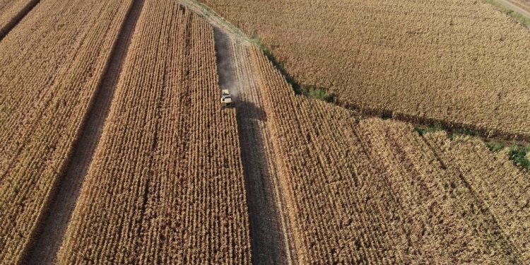 Tarımda üretici enflasyonunda yeni rekor: Yüzde 68