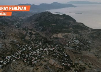 Toplumla barışık bir arkeoloji projesi: PAP
