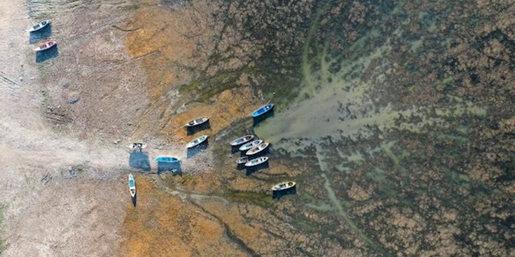 Türkiye’nin ilk iklim davası kurutulan Marmara Gölü için açıldı