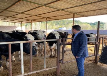 ‘Her ay bir hayvan masrafa gidiyor, süt 12 TL olmazsa devam edemeyiz’