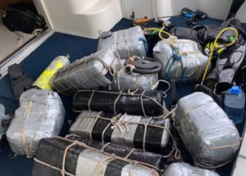 Brezilya polisi, Marmaraereğlisi’ne gidecek gemide 290 kg kokain yakaladı