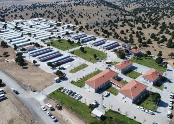 Konya barınağındaki köpek ölümüyle ilgili verilen cezaya itiraz