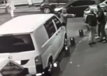 Yaralı kediye yardım etmek isteyen hayvansevere silah çekti