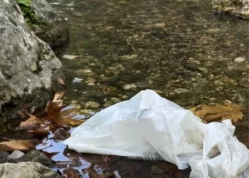 Konyaaltı’nın Geyikbayırı bölgesinde doğanın kirletilmesi tepki topladı